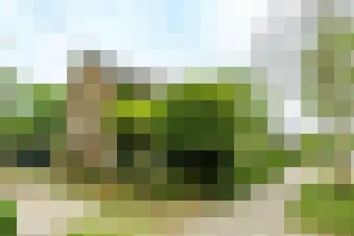 P.C. Hooftlaan 30 Zeist thumbnail 36