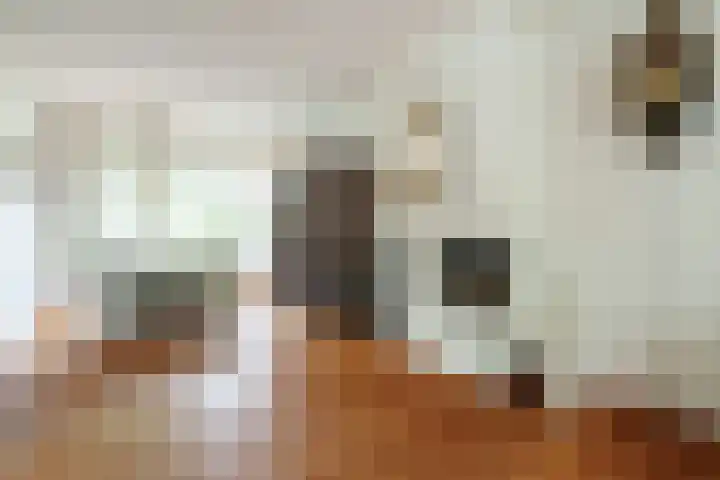 P.C. Hooftlaan 30 Zeist thumbnail 9