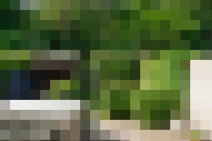 P.C. Hooftlaan 31 Soest thumbnail 25