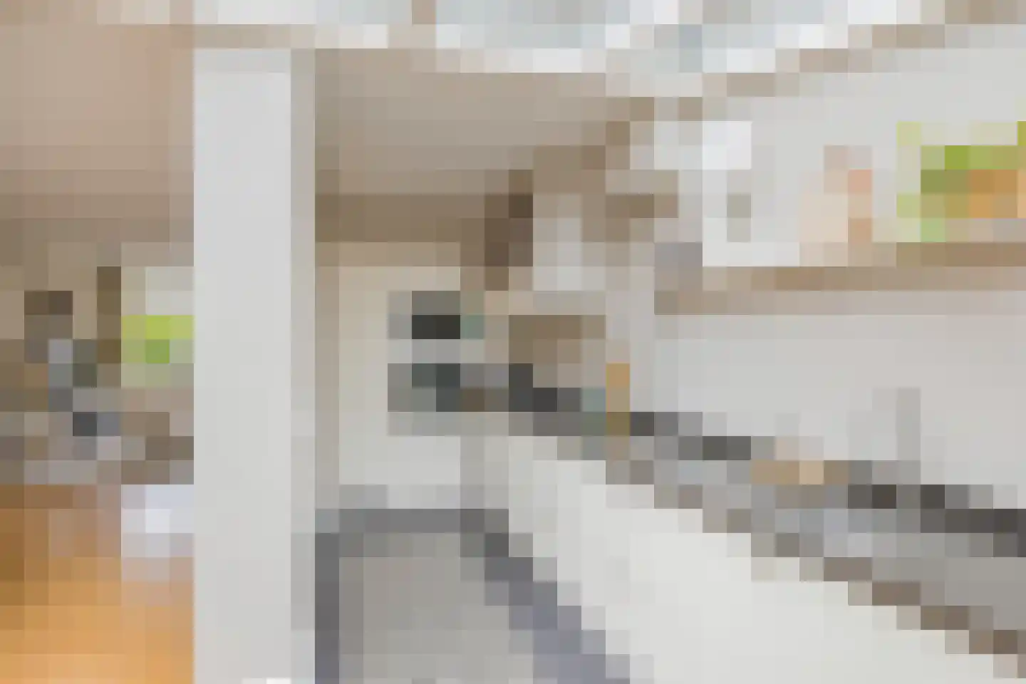 P.C. Hooftlaan 33 Driehuis NH thumbnail 17