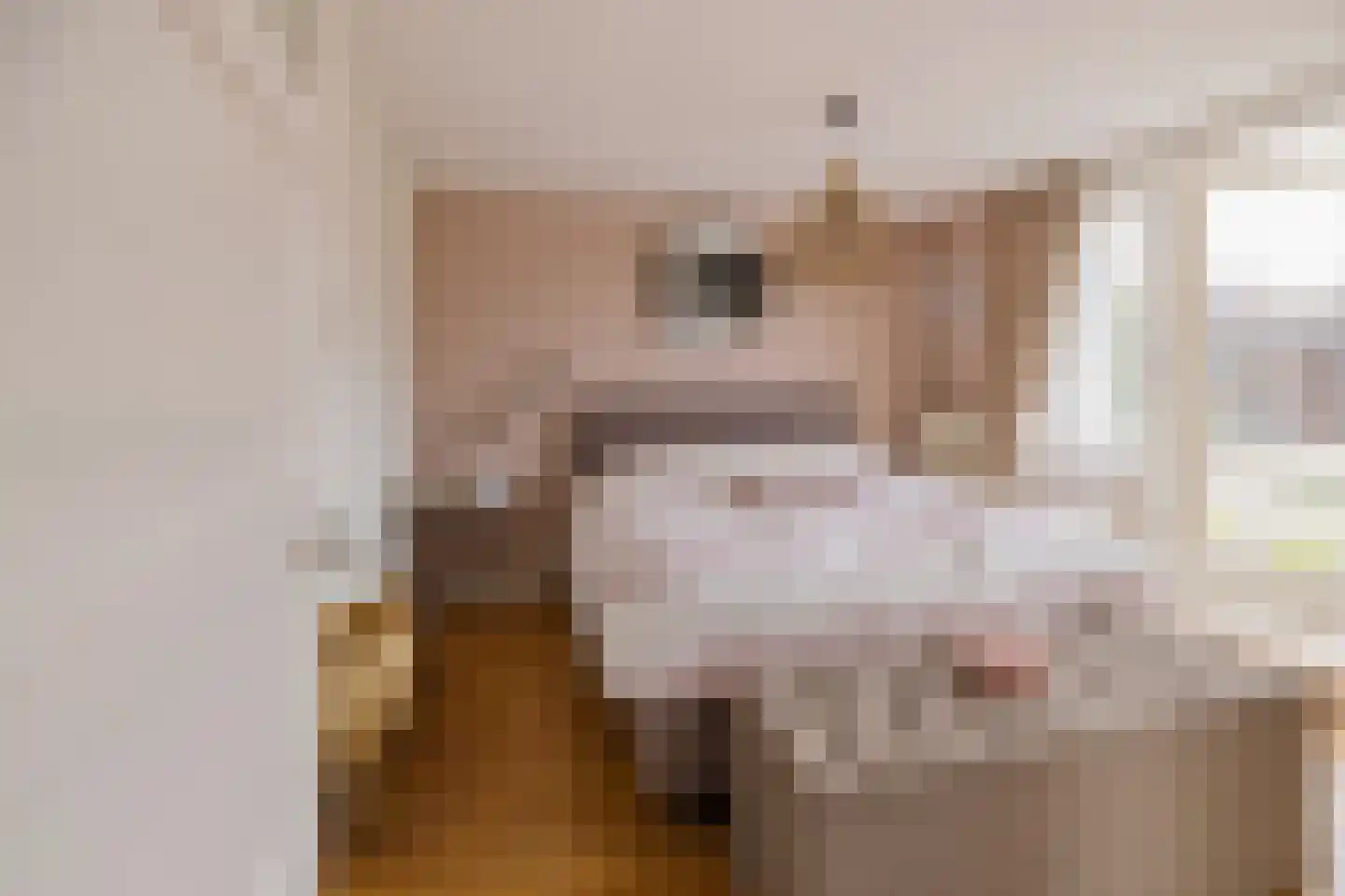 P.C. Hooftlaan 33 Driehuis NH thumbnail 24