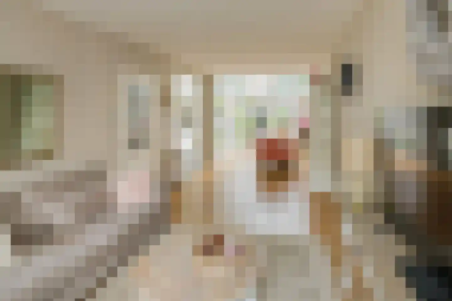 P.C. Hooftlaan 33 Driehuis NH thumbnail 5