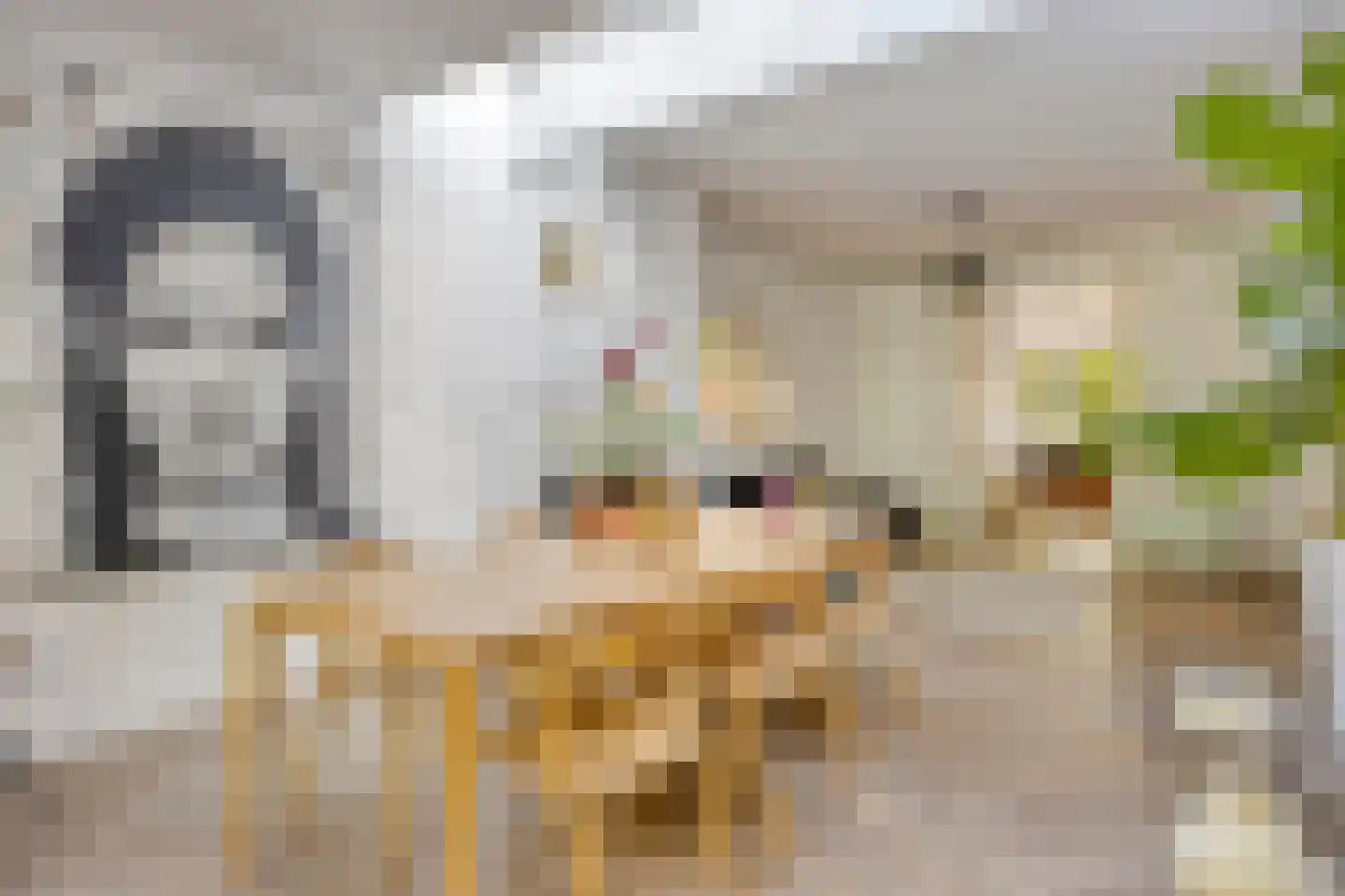 P.C. Hooftlaan 44 Zeist thumbnail 14