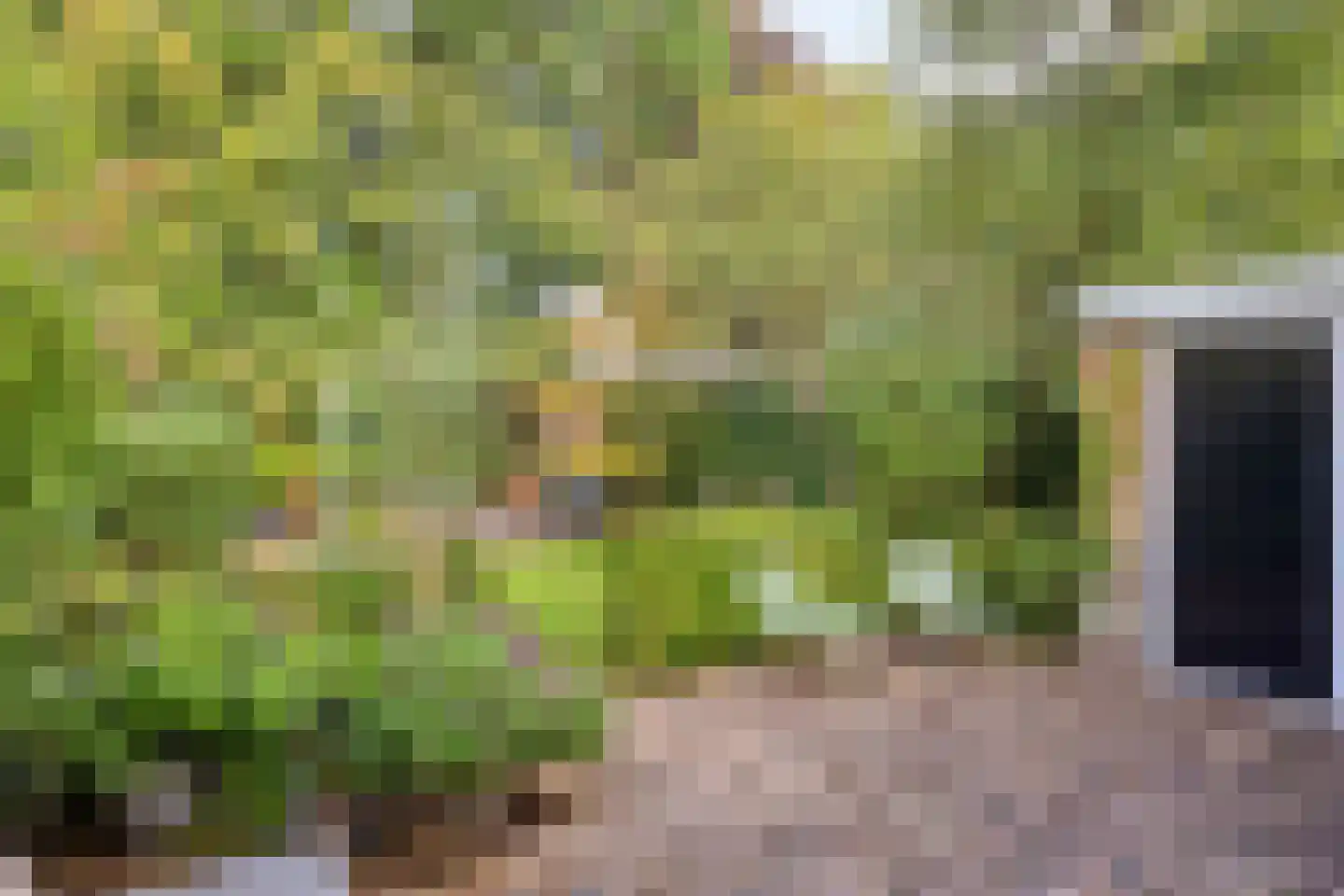 P.C. Hooftlaan 44 Zeist thumbnail 36