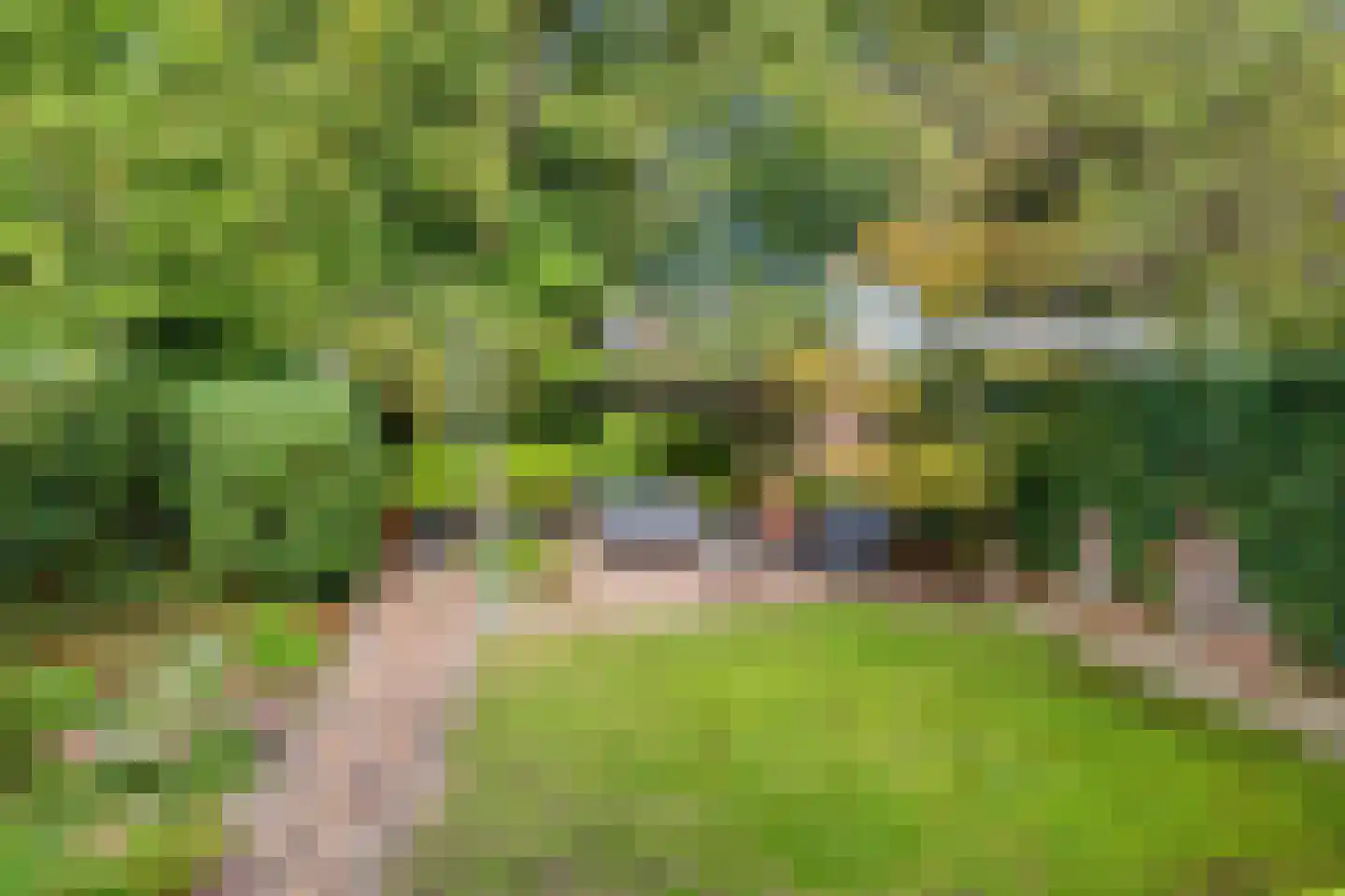 P.C. Hooftlaan 44 Zeist thumbnail 37