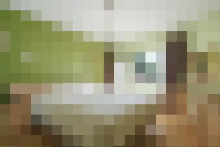 P.C. Hooftlaan 49 A Zeist thumbnail 14