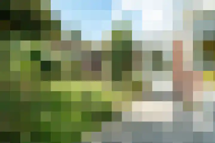 P.C. Hooftlaan 49 A Zeist thumbnail 23
