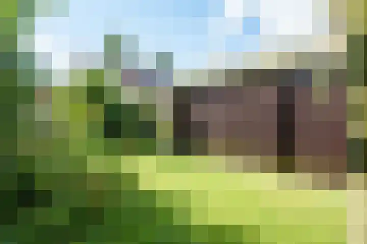 P.C. Hooftlaan 49 A Zeist thumbnail 24