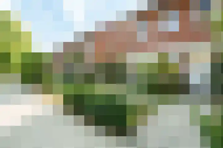 P.C. Hooftlaan 49 A Zeist thumbnail 26