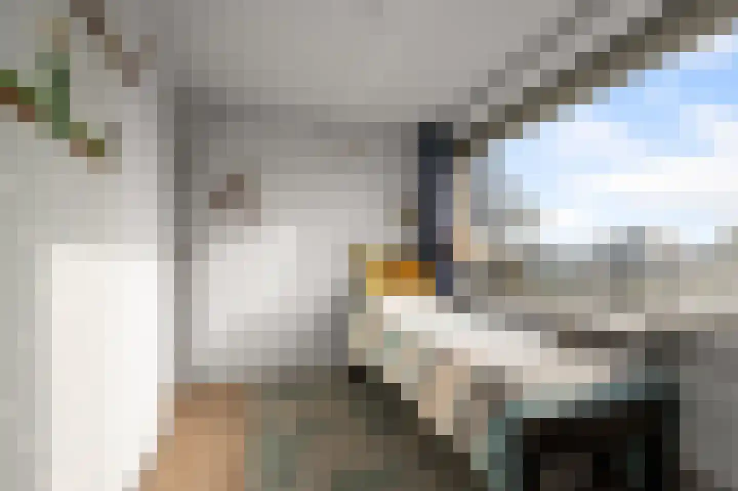 P.C. Hooftlaan 56 Uithoorn thumbnail 17