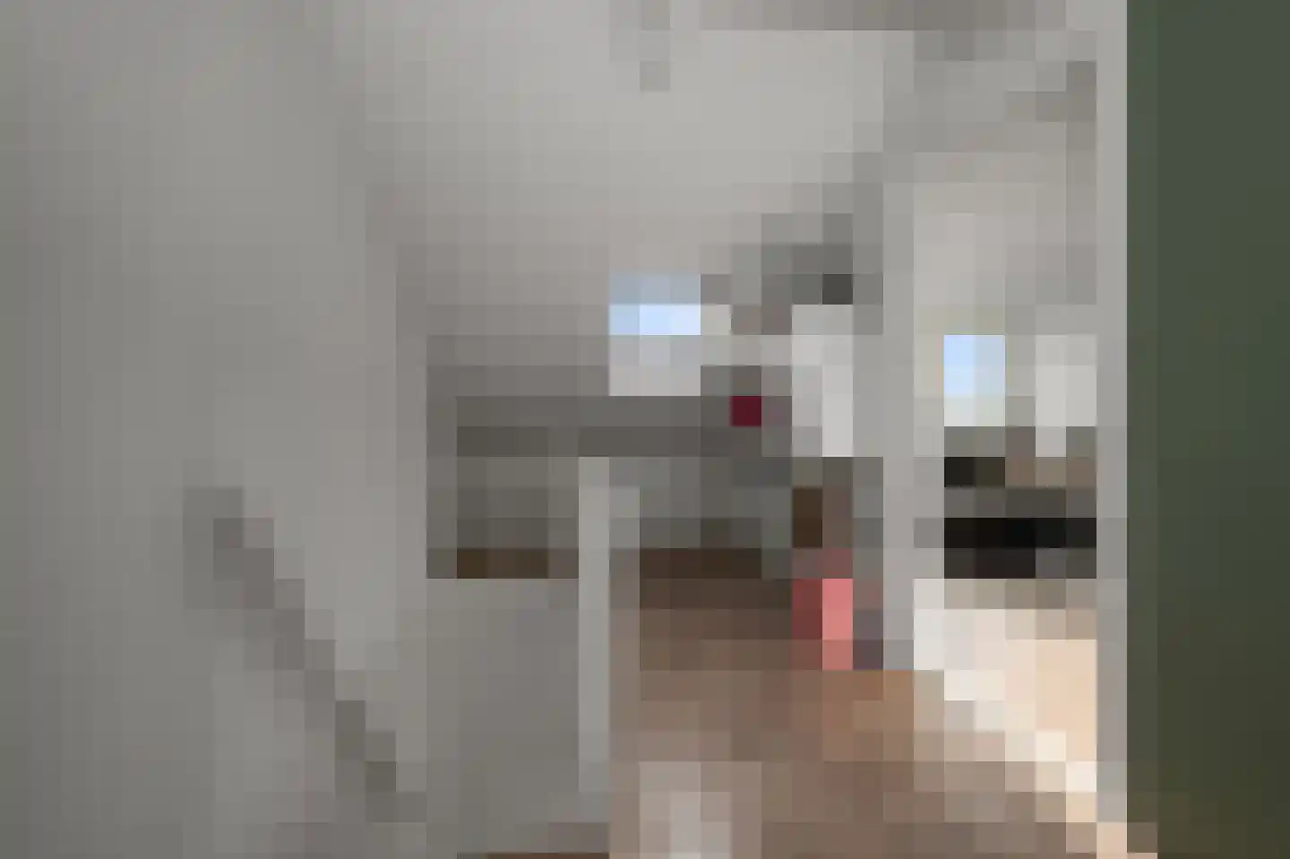 P.C. Hooftlaan 56 Uithoorn thumbnail 30