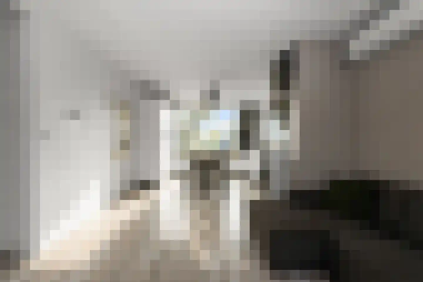 P.C. Hooftlaan 56 Uithoorn thumbnail 5