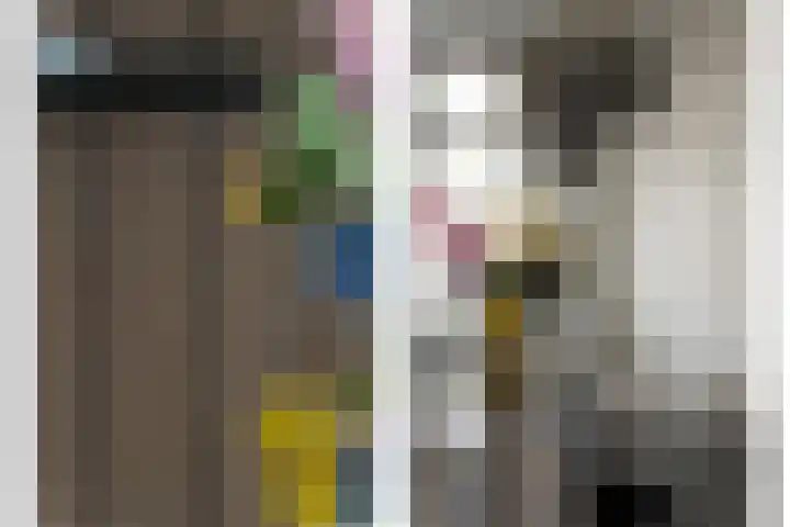 P.C. Hooftlaan 60 Papendrecht thumbnail 12