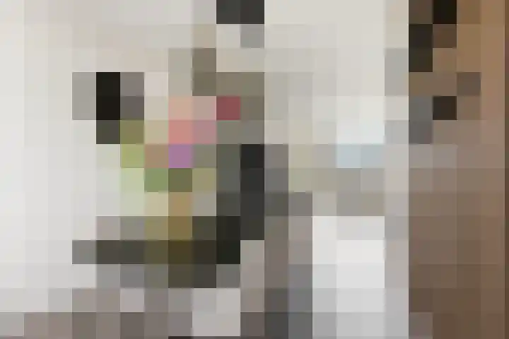 P.C. Hooftlaan 60 Papendrecht thumbnail 13