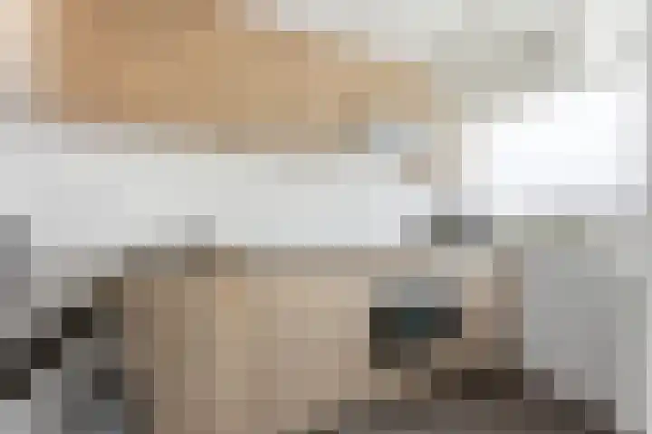 P.C. Hooftlaan 60 Papendrecht thumbnail 15