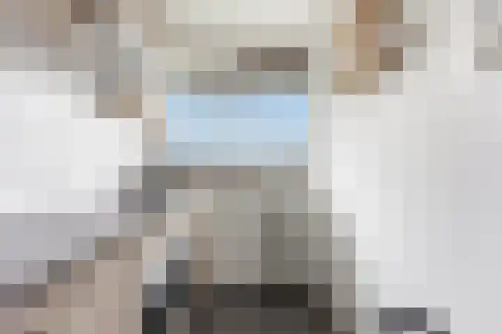 P.C. Hooftlaan 60 Papendrecht thumbnail 16