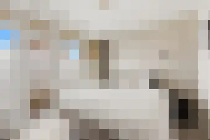 P.C. Hooftlaan 60 Papendrecht thumbnail 20