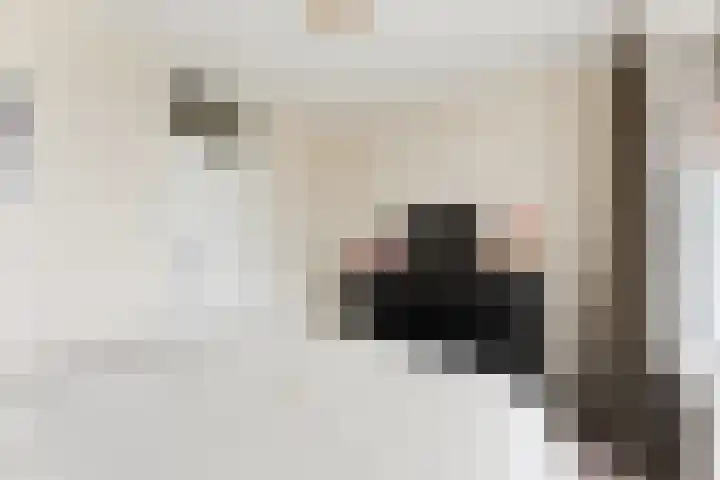 P.C. Hooftlaan 60 Papendrecht thumbnail 21