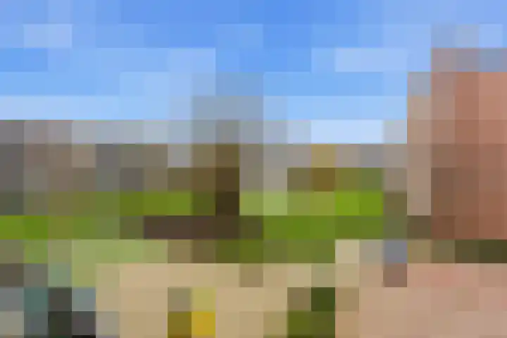 P.C. Hooftlaan 60 Papendrecht thumbnail 24