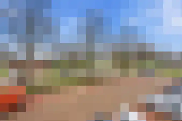 P.C. Hooftlaan 60 Papendrecht thumbnail 33