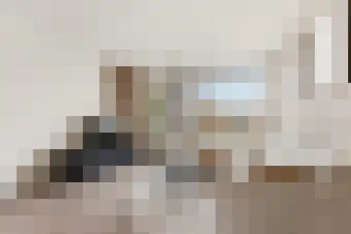 P.C. Hooftlaan 60 Papendrecht thumbnail 4