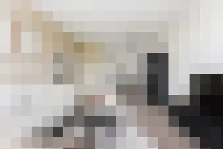 P.C. Hooftlaan 60 Papendrecht thumbnail 8