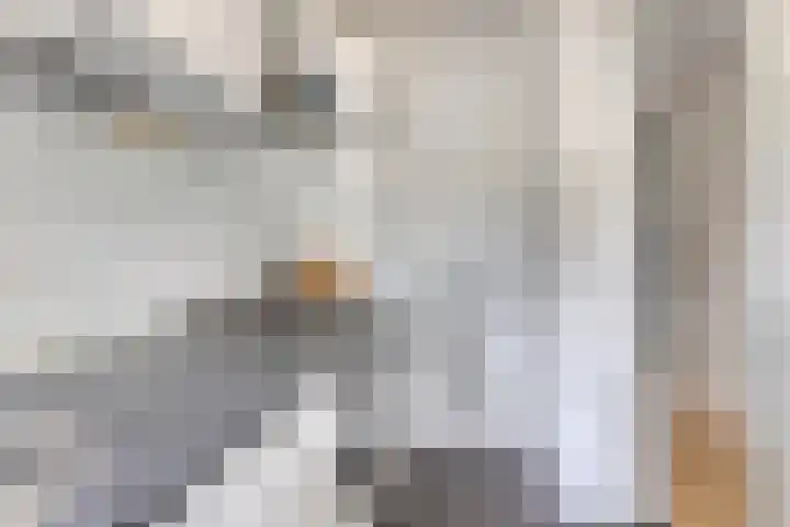 P.C. Hooftlaan 62 Papendrecht thumbnail 10
