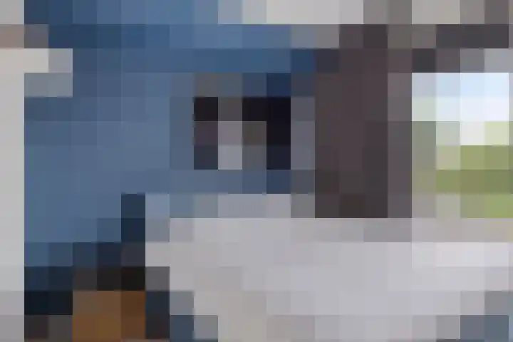P.C. Hooftlaan 62 Papendrecht thumbnail 11