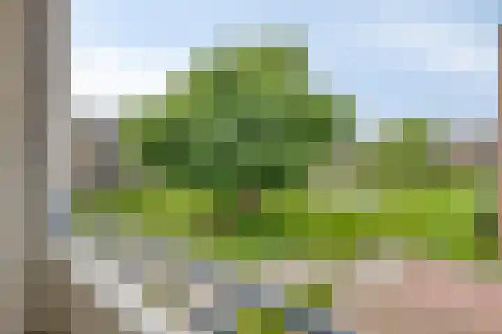 P.C. Hooftlaan 62 Papendrecht thumbnail 21