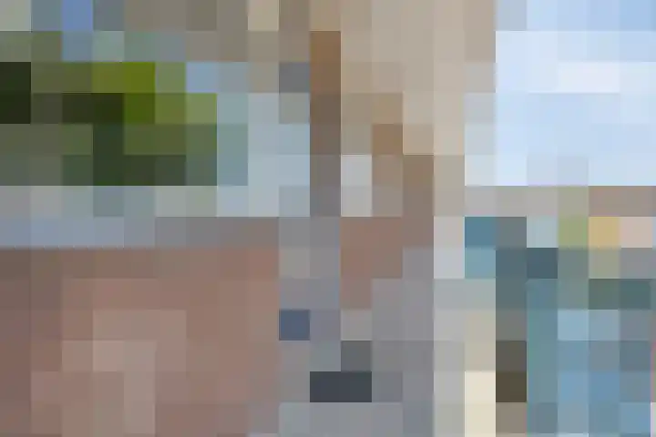 P.C. Hooftlaan 62 Papendrecht thumbnail 23