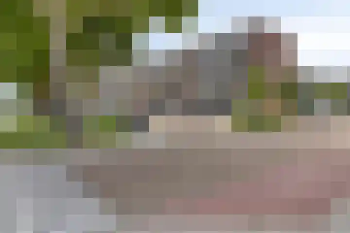 P.C. Hooftlaan 62 Papendrecht thumbnail 25