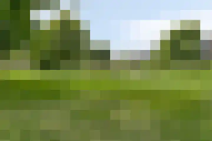 P.C. Hooftlaan 62 Papendrecht thumbnail 28