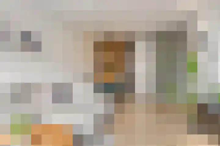 P.C. Hooftlaan 62 Papendrecht thumbnail 5