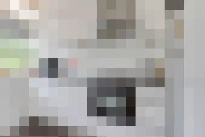 P.C. Hooftlaan 62 Papendrecht thumbnail 8
