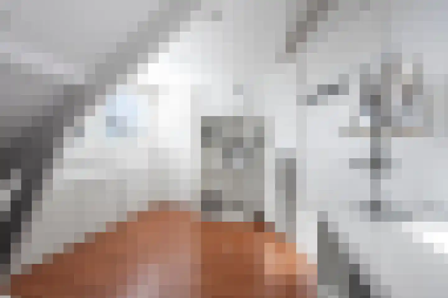 P.C. Hooftlaan 8 Driehuis NH thumbnail 64