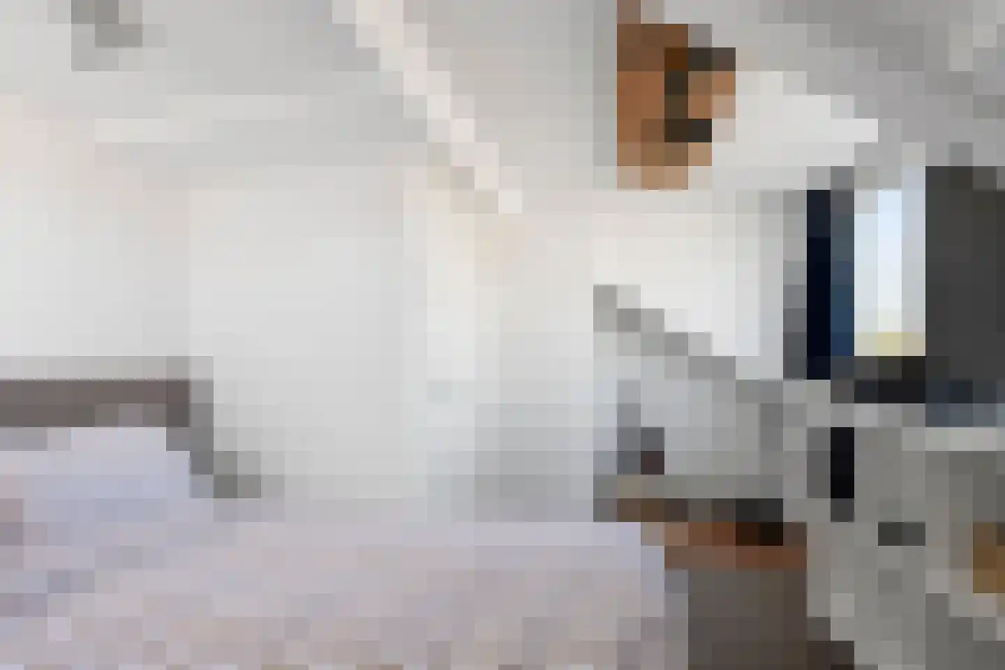 P.C. Hooftlaan 8 Driehuis NH thumbnail 69