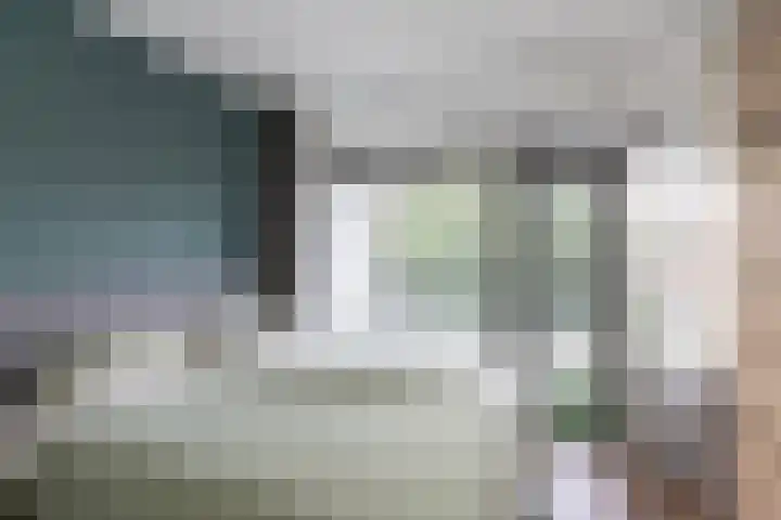 P.C. Hooftlaan 82 Papendrecht thumbnail 11