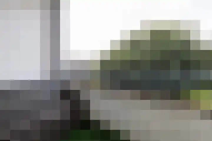 P.C. Hooftlaan 82 Papendrecht thumbnail 14