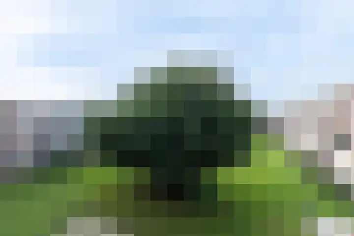 P.C. Hooftlaan 82 Papendrecht thumbnail 15