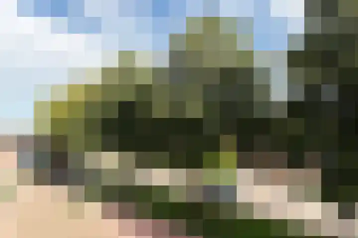 P.C. Hooftlaan 82 Papendrecht thumbnail 16