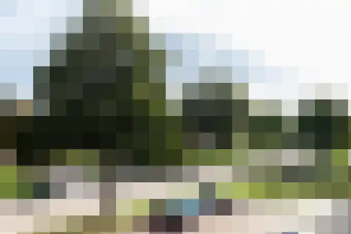P.C. Hooftlaan 82 Papendrecht thumbnail 4