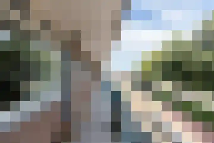 P.C. Hooftlaan 82 Papendrecht thumbnail 6