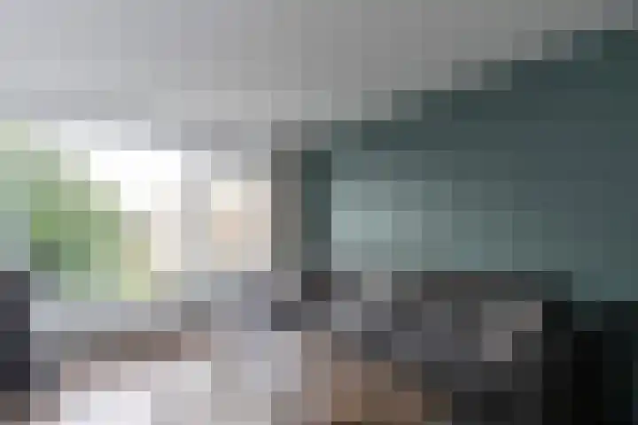 P.C. Hooftlaan 82 Papendrecht thumbnail 8