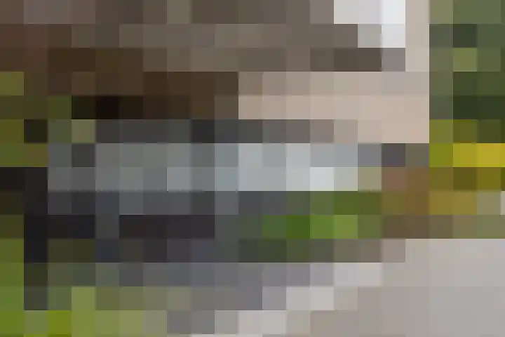 P.C. Hooftlaan 96 Hengelo thumbnail 11