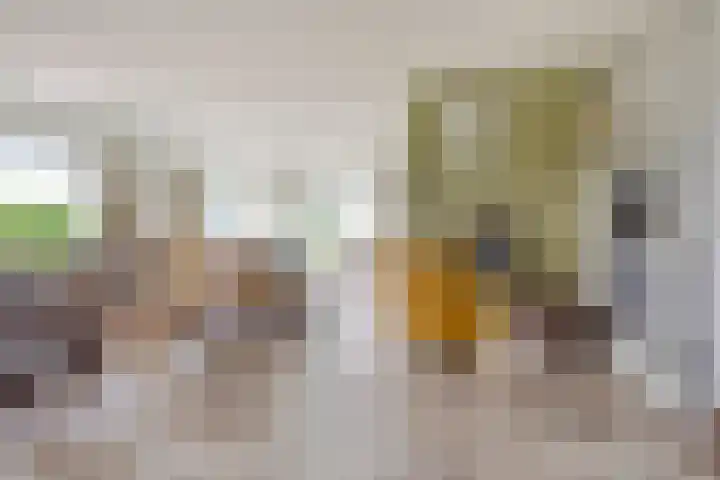 P.C. Hooftlaan 96 Hengelo thumbnail 15
