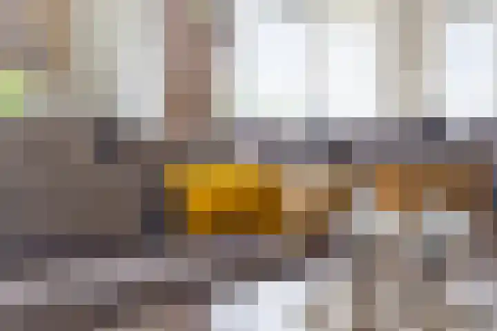 P.C. Hooftlaan 96 Hengelo thumbnail 22