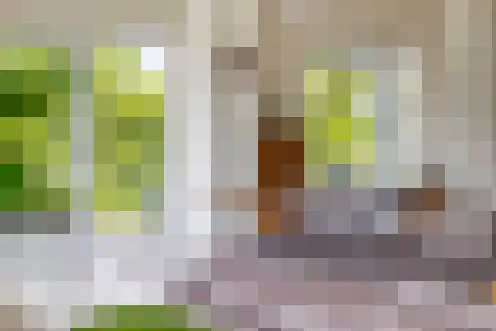 P.C. Hooftlaan 96 Hengelo thumbnail 24