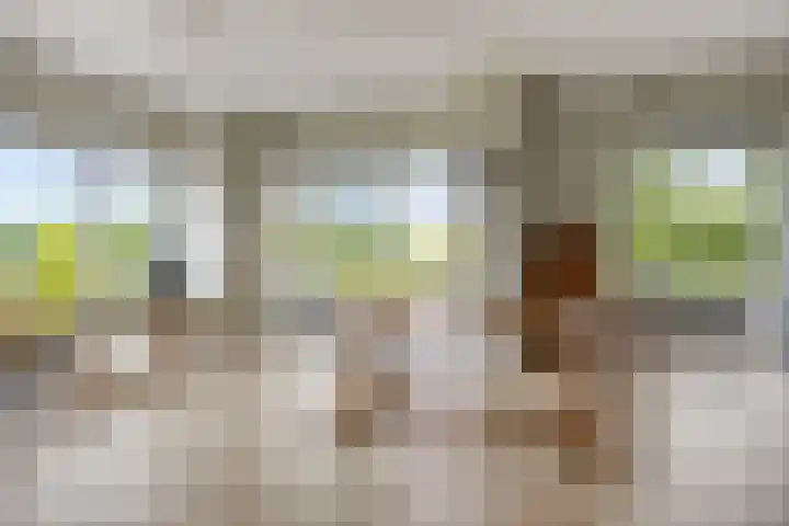 P.C. Hooftlaan 96 Hengelo thumbnail 25