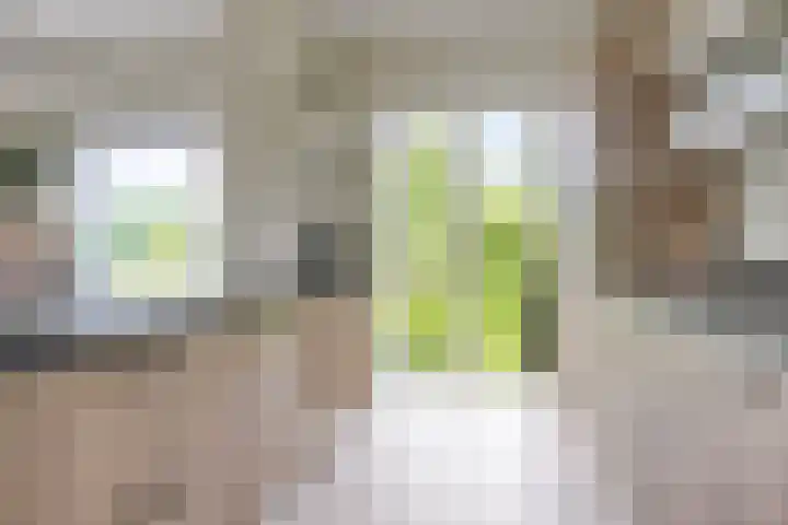 P.C. Hooftlaan 96 Hengelo thumbnail 33