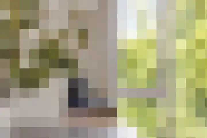 P.C. Hooftlaan 96 Hengelo thumbnail 36